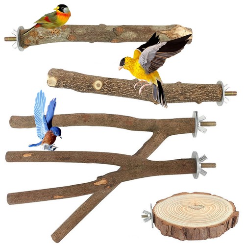 Bird perches pcs - perches,, 5