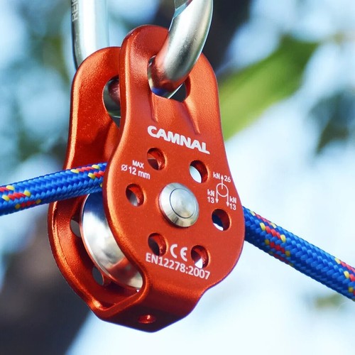 Rock tree climbing - rock,