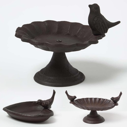 Bird bath feeder garden - bird,