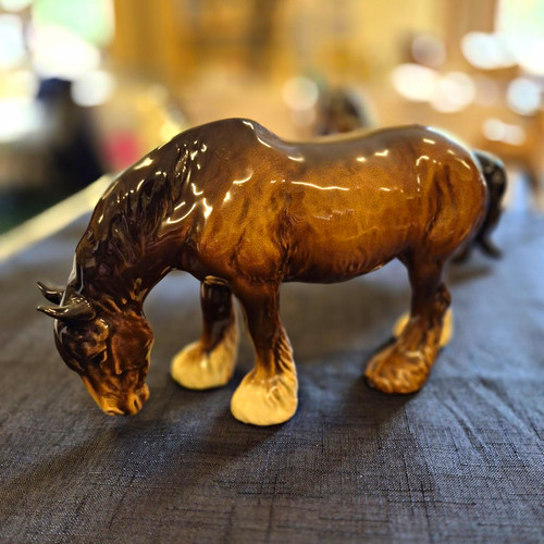 Beswick grazing shire - grazing, shire.