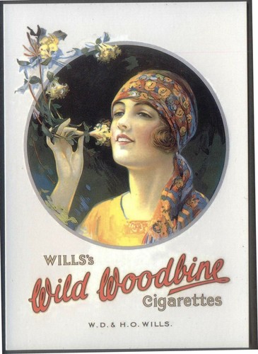 Modern postcard will wild - modern,