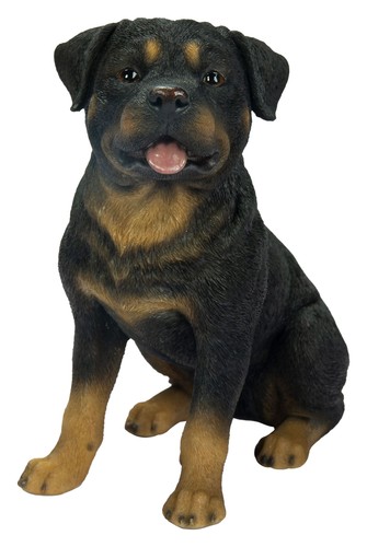 Vivid arts rottweiler - vivid,