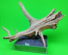 Large Corbo Root CBL7