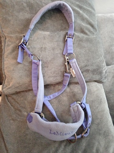 Mieux extra full bluebell - le,