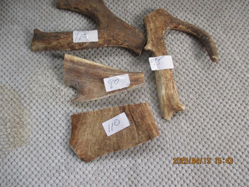 Fallow deer antler chews - fallow,