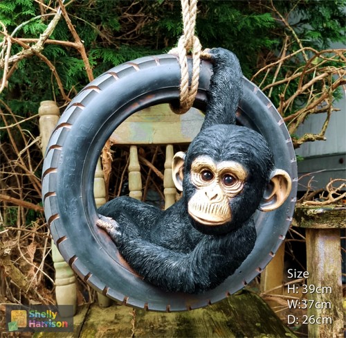 Monkey his tyre - monkey,
