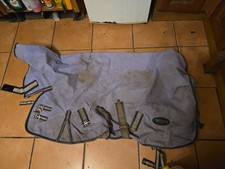 IV Horse 3ft9 Lightweight