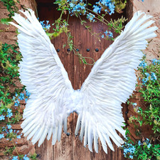 White Large Feather Butterfly