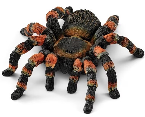 Realistic tarantula spider - realistic,