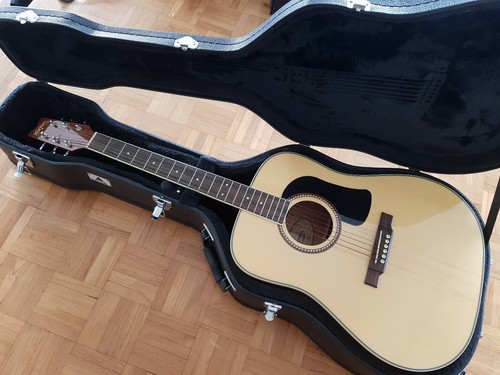 2009 washburn d10 - 2009,