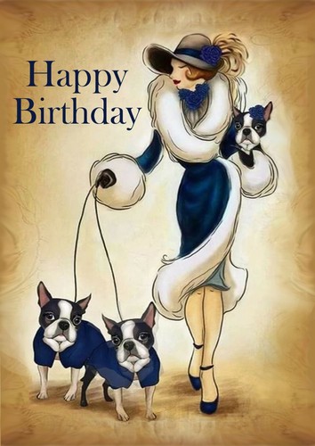 Boston terrier dog birthday - boston,