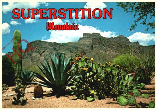 Picture postcard superstition - picture, postcard:;superstition