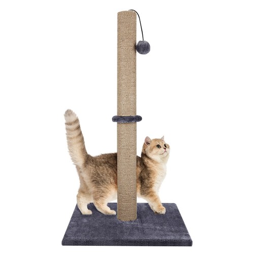 Tall large cat - tall, post