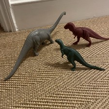  Natural History Museum