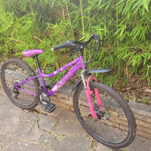 24in girls bike - girls, mtb