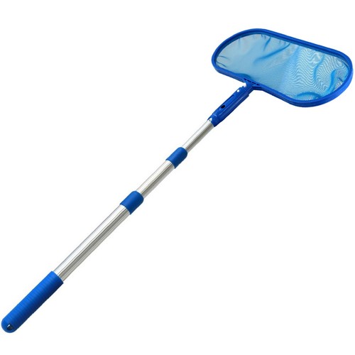 Swimming pool debris leaf - pool,