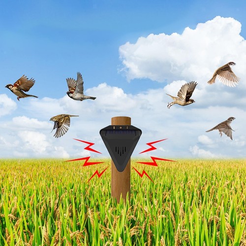 Bird scarer sounds - scarer,