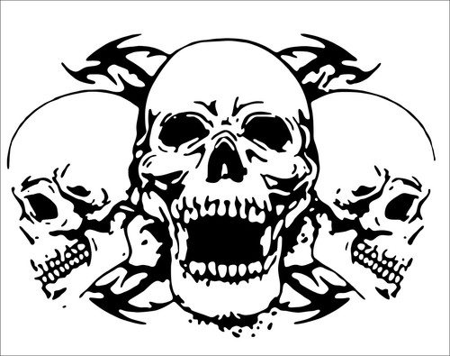 Skull tri tribal - skull,