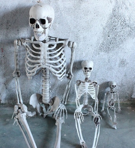 90cm 170cm halloween - halloween, life