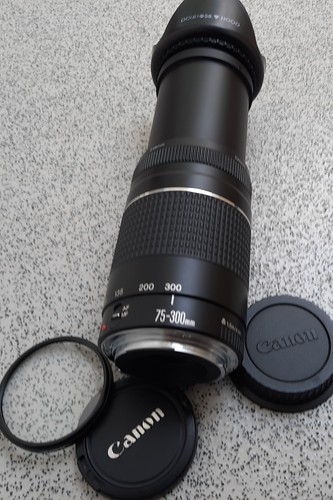 Canon 300mm 5 - canon, ef