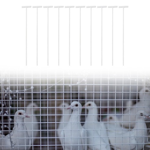 10x pigeon entrance - 10x, door