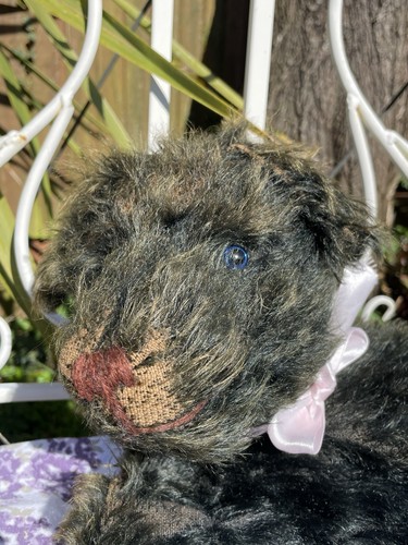 Teddy bear old - bear,