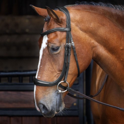 Shires velociti rapida - shires,