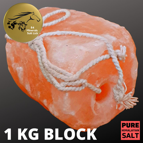 Himalayan salt lick rock for - salt,