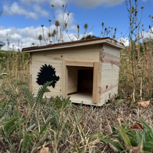 Wooden hedgehog house - hedgehog, hogitat