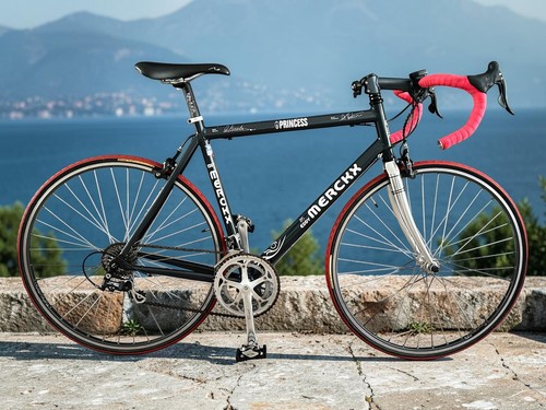 Eddy merckx road bike - road,