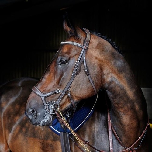 John whitaker chicago - john,