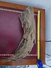 Large piece Petrified Wood
