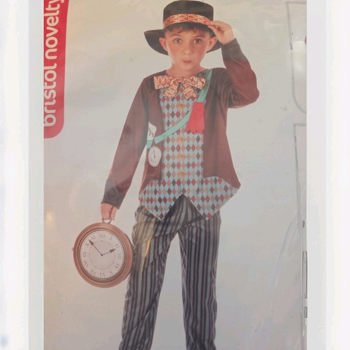 Mad hatter boys fancy dress - hatter,
