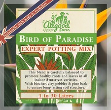 Bird of Paradise Expert