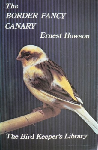 The border fancy canary - border, (the