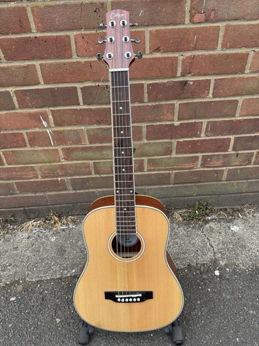 Carry mini acoustic - carry-on,