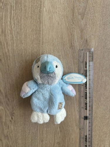Melody blue nose - melody,
