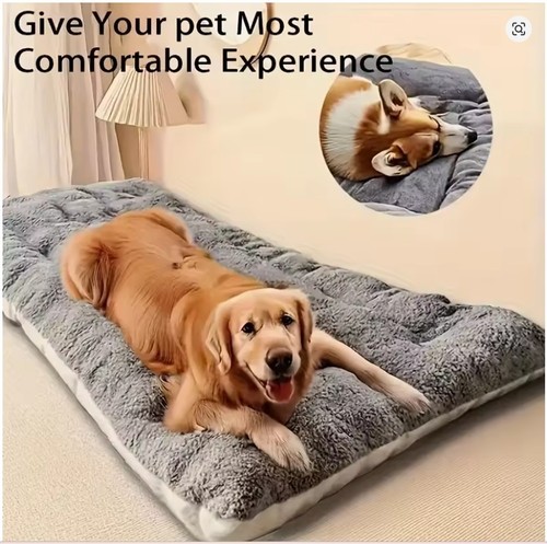 Large plush dog cat - dog, bed
