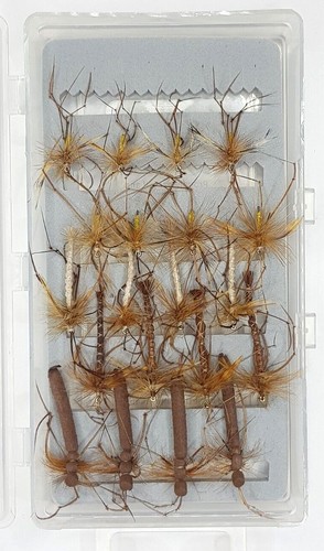 Daddy long legs - &, box