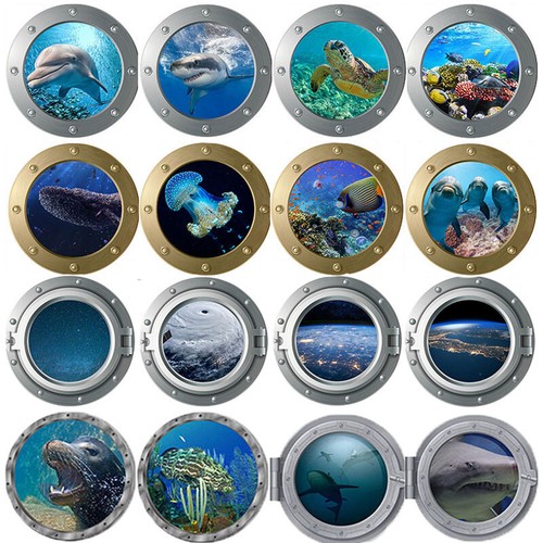 Porthole window reef shark - window,