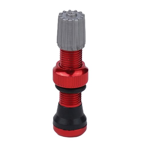 Tubeless valve for schrader - valve, for-schrader