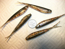 100-3"-crappie-panfish-soft