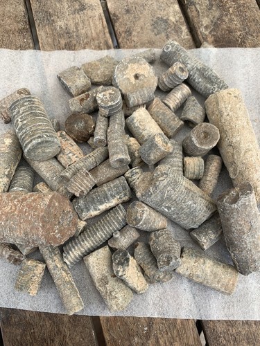 Fossil crinoid stems - fossil, silurian