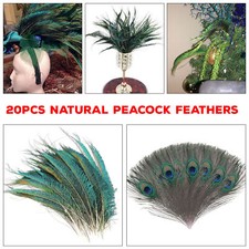 Peacock Feathers Natural Tail