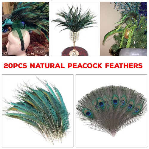 Peacock feathers natural tail - natural,