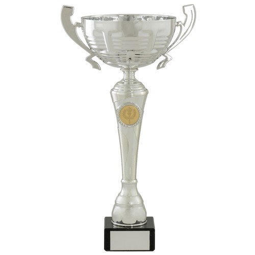 Large silver presentation cups - large,