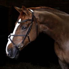 Cottage Craft Grackle Bridle Brown
