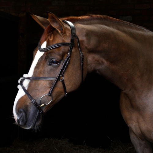 Cottage craft grackle bridle - craft,