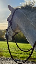 Soft Rope Halter/Bitless Sidepull Bridle with Reins - Small & Large -