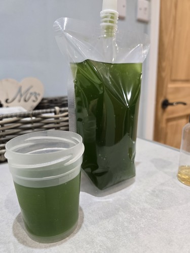 500ml live phytoplankton - 500ml,